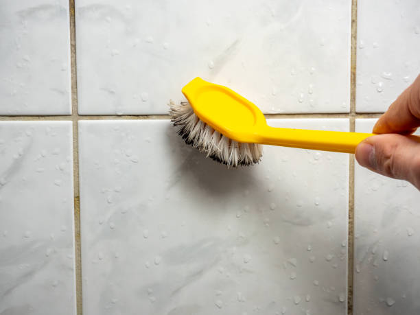 Best Mold Cleaning Services  in Pulaski, TN